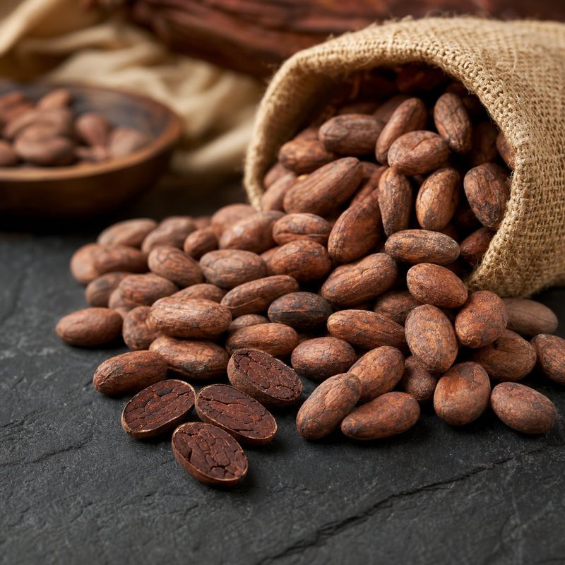Plump Grade I fermented dried Nigerian cocoa beans spilling from a jute sack